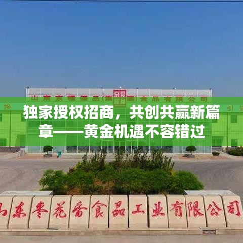 獨家授權招商，共創共贏新篇章——黃金機遇不容錯過